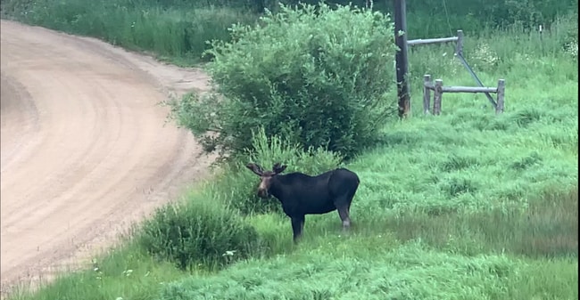 Building Photo - 334 Pine Glade Rd