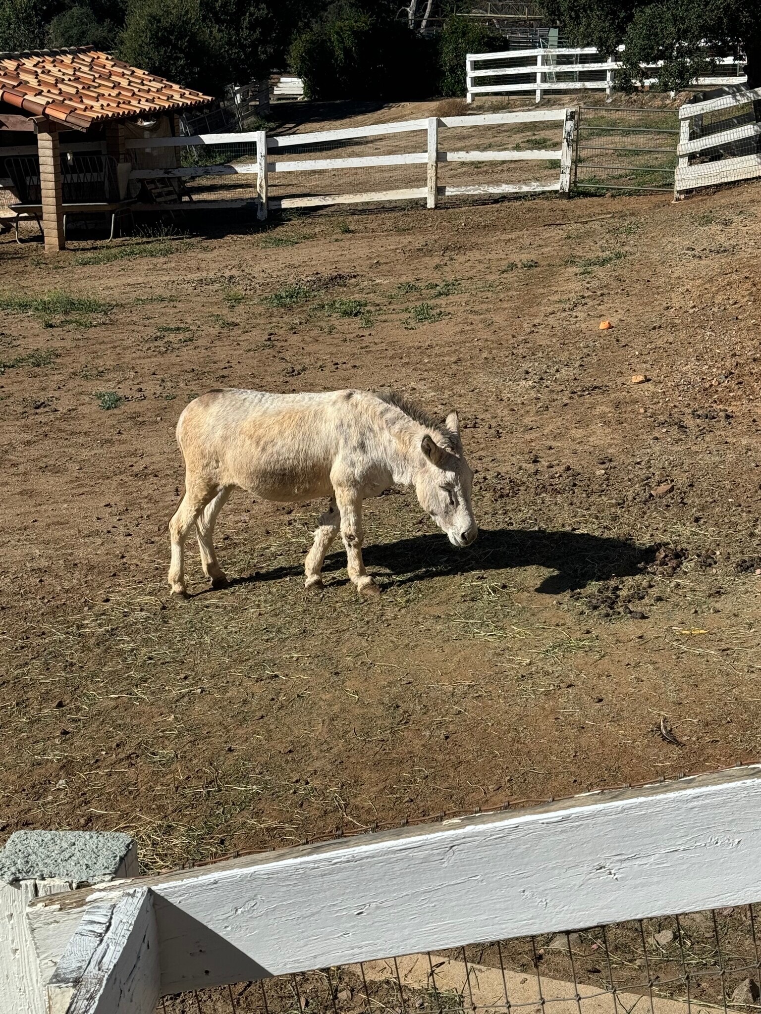 Building Photo - 40500 Avenida La Cresta