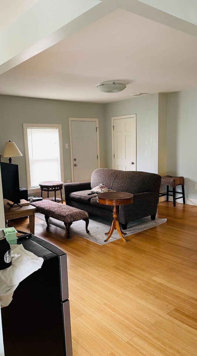 Open living/dining/kitchen - 207A River St