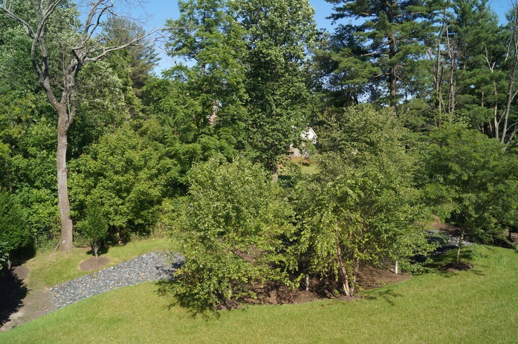 Building Photo - 9334 Rock Ripple Ln