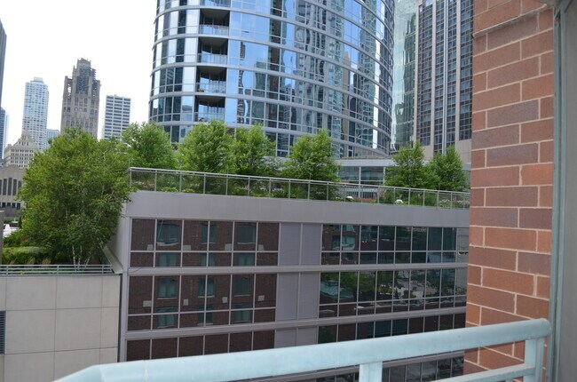Building Photo - 480 N McClurg Ct