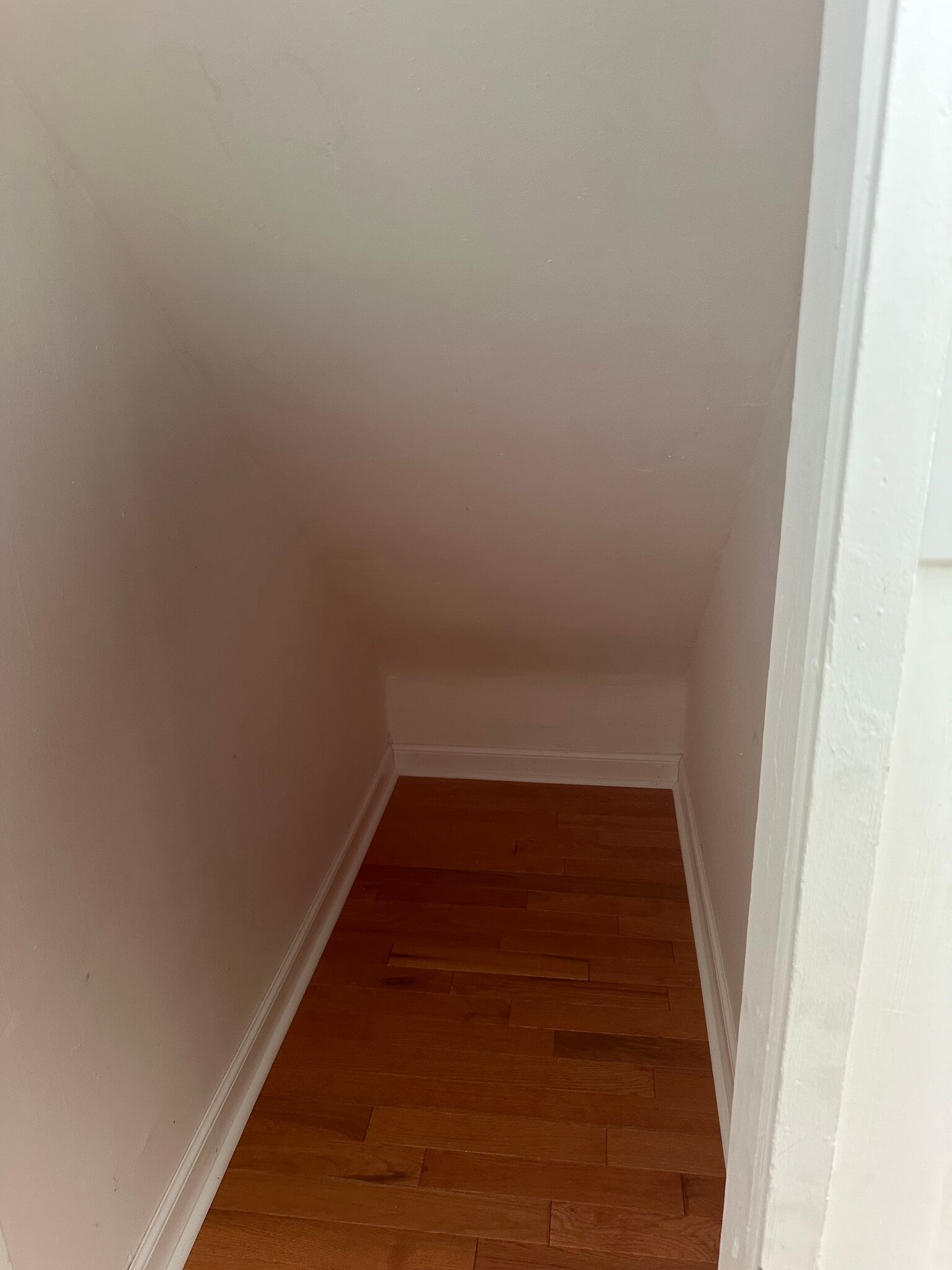 Large L shape stirage Area in LR closet - 153 Burmont Rd