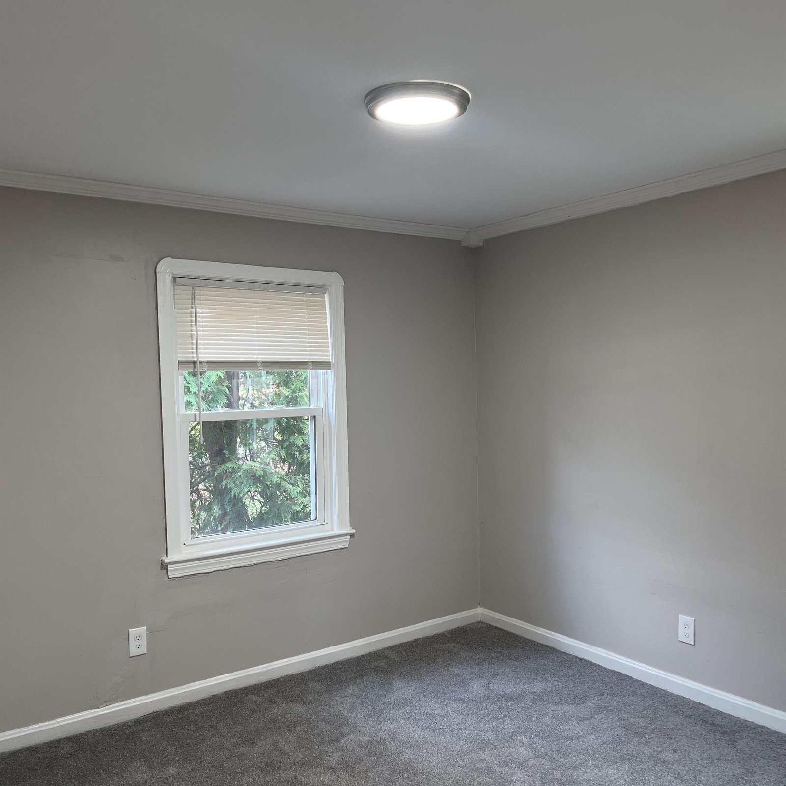 Building Photo - 25731 Forestview Ave