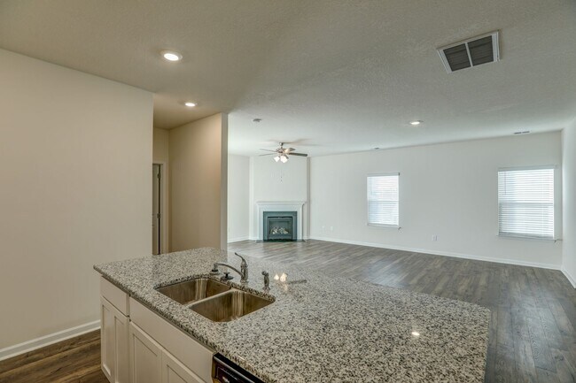 Building Photo - NEW CONSTRUCTION - 5 BDRMS, 3 BTHS, JOHNSON CITY