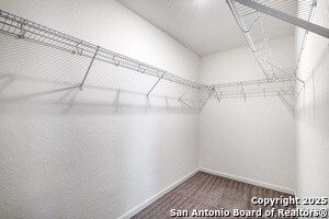 Building Photo - 5803 Rue Picasso
