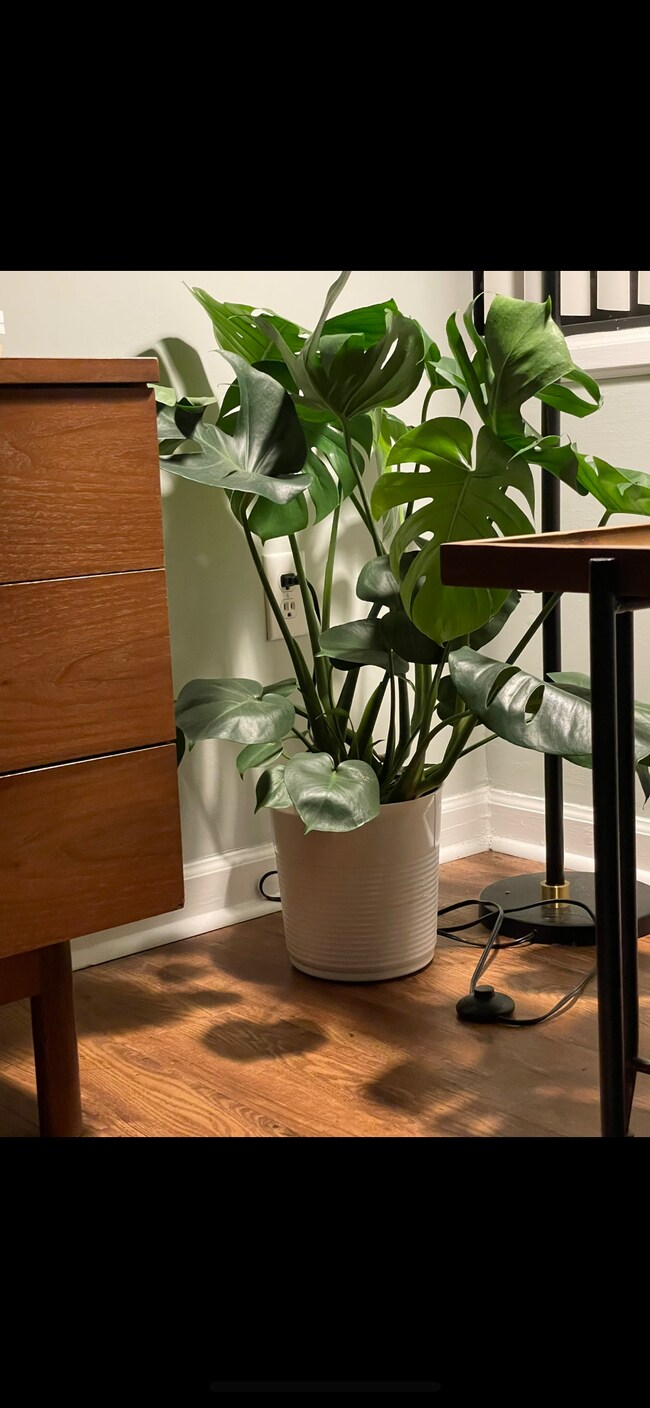 Building Photo - 1100 Wheat St