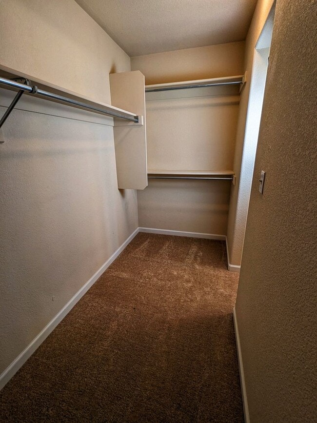 Building Photo - 5518 Timeless View