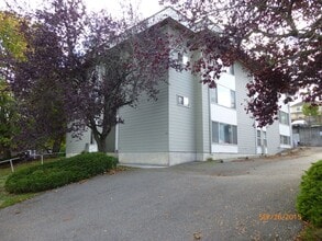 Building Photo - Newly Renovated 1-Bedroom Apartment in the Heart of Everett
