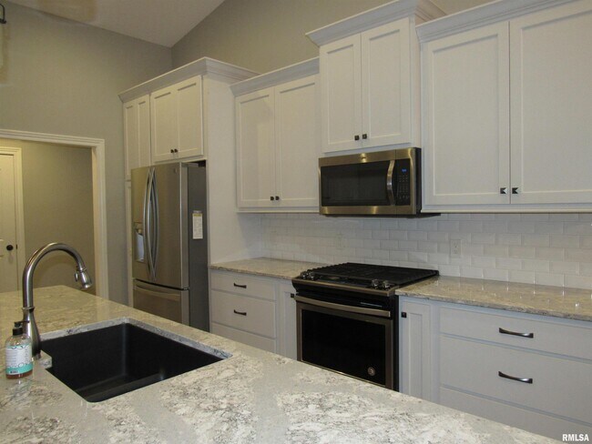 Building Photo - 1659 Celtic Ct