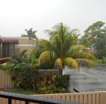 Building Photo - 3955 Village Dr