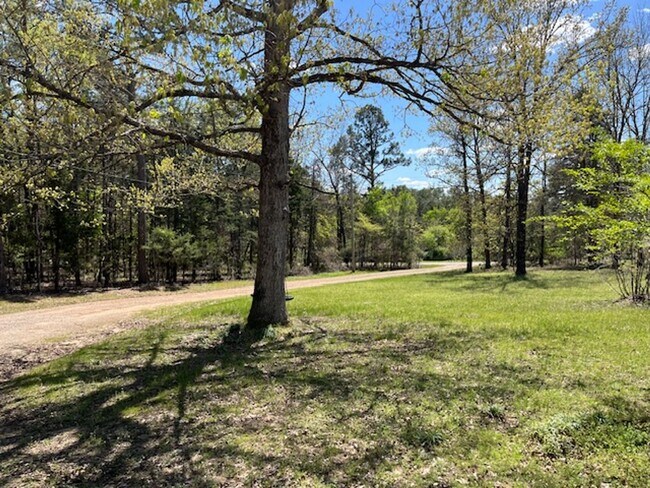 Building Photo - Come take a look at this 3-bedroom 2-bath home in Dover.