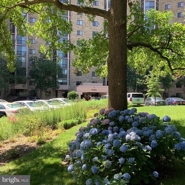 Building Photo - 5901 Mt Eagle Dr