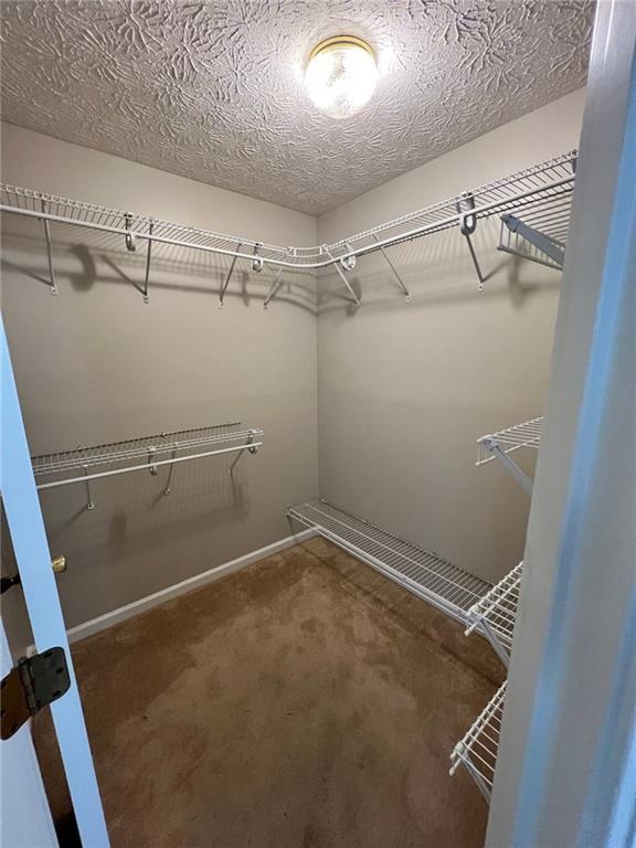 Building Photo - 3313 Beech Hollow Ct