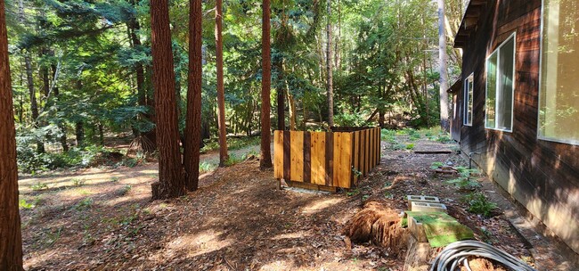 Building Photo - Cabin In the Wood!