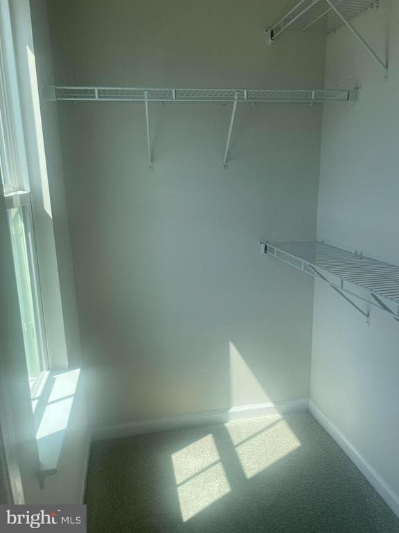 Building Photo - 4706 Torrey Ln