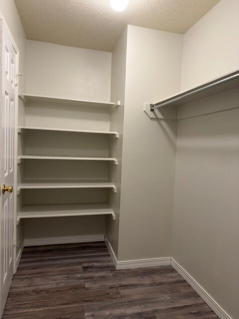 Building Photo - 7703 Hayward Ct