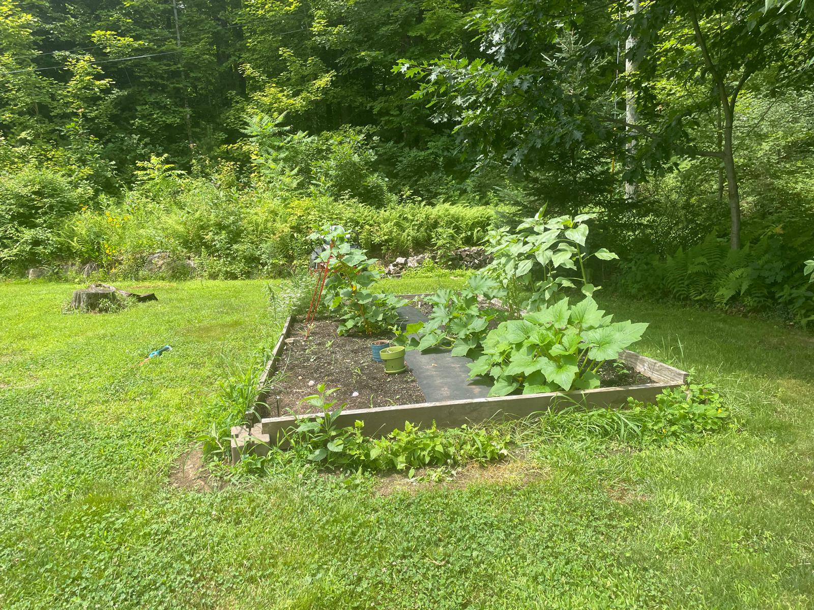 Veggie garden - 39 Old County Rd