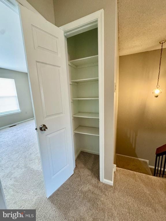 Building Photo - 25 Sequoia Dr