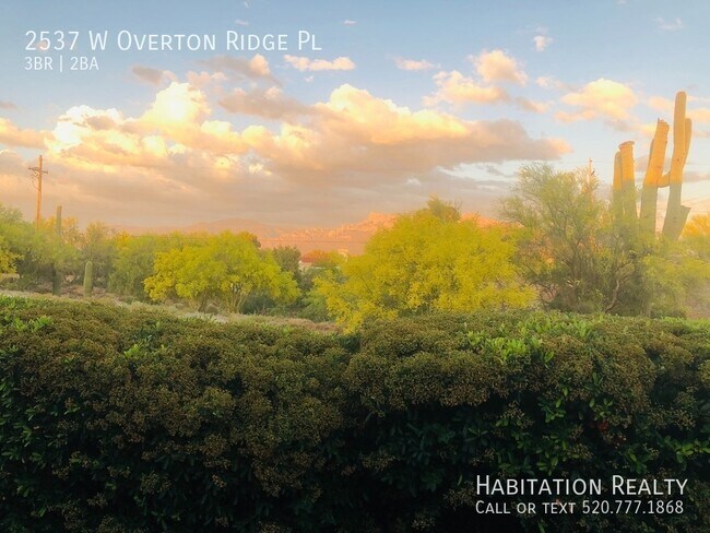 Building Photo - 2537 W Overton Ridge Pl