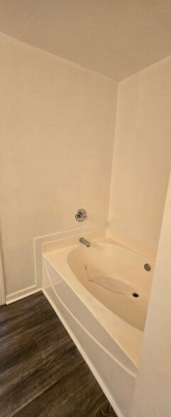Tub in Master Bathroom - 1729 Coleville Oak Ln