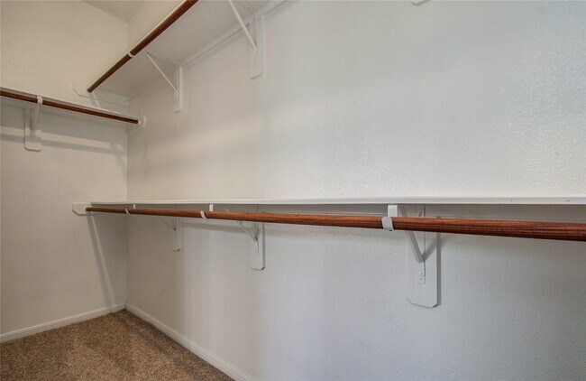 Building Photo - 23003 Black Mountain Ash Ct