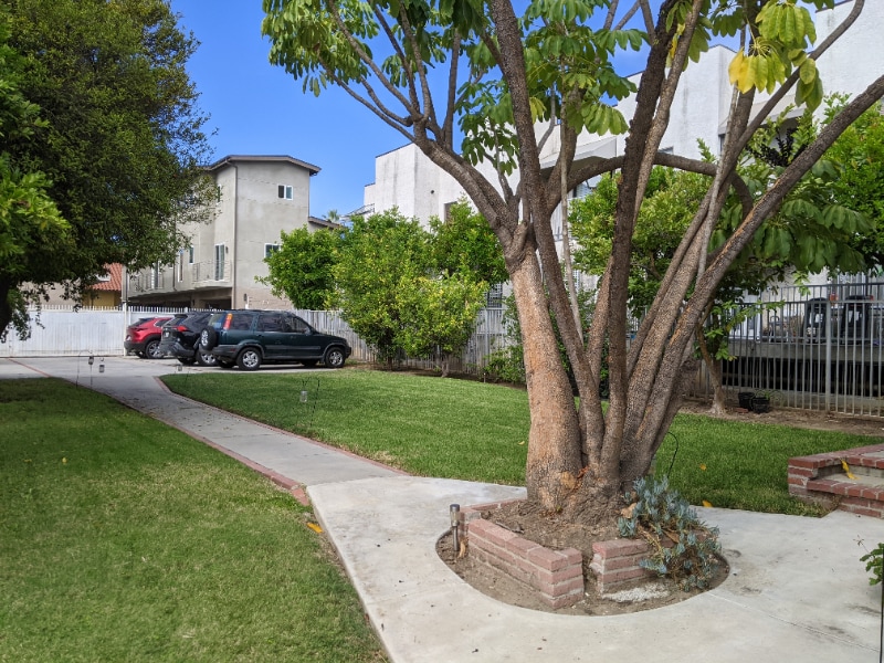 Building Photo - 835 N Raymond Ave