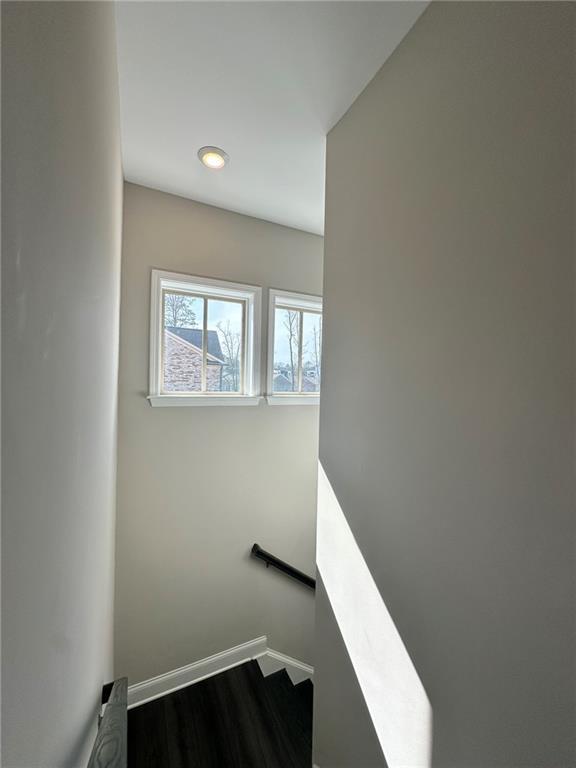 Building Photo - 3670 Trevi Ln