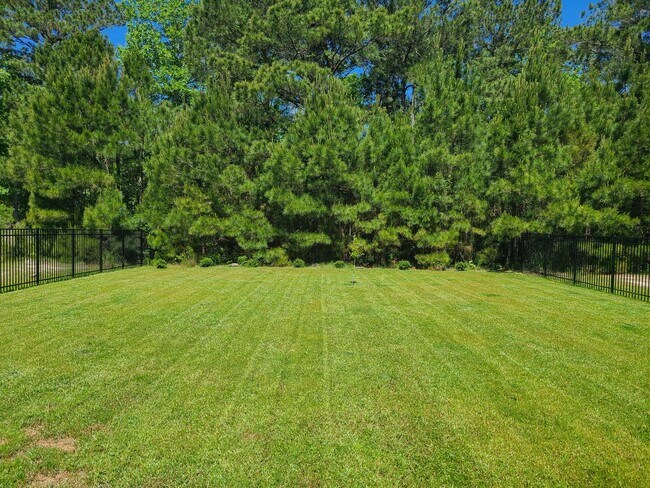 Building Photo - Gorgeous 4 Bedroom, 2.5 bath in Summerhouse community - Holly Ridge