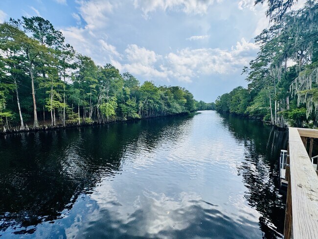 Building Photo - 464 Honeyhill Lp