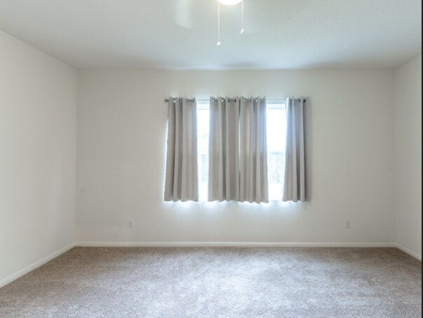 Building Photo - 278 Shiro Dr
