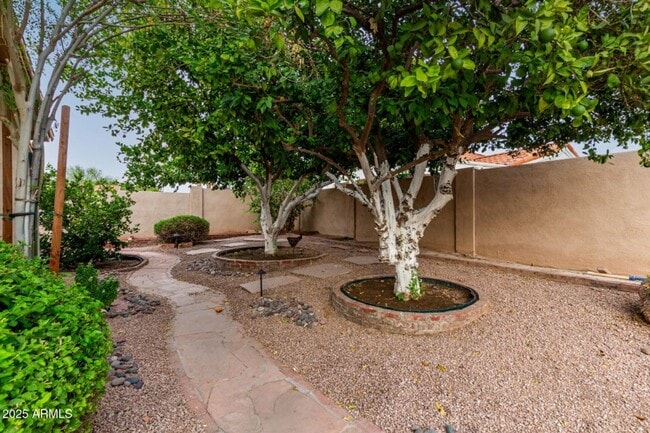 Building Photo - 4 Bedroom 2 Bathroom Scottsdale Ranch Home