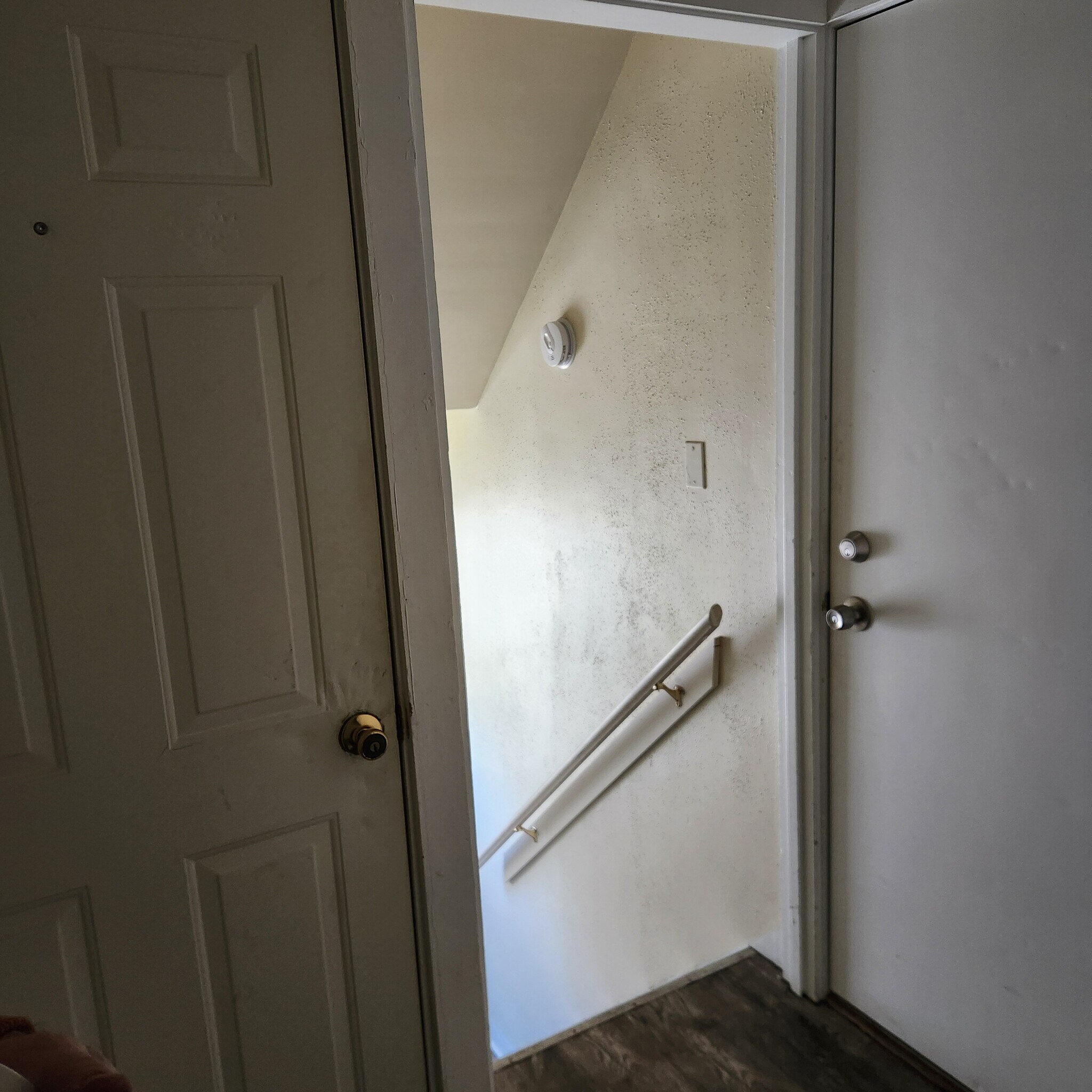 Building Photo - 896 Delia Ave