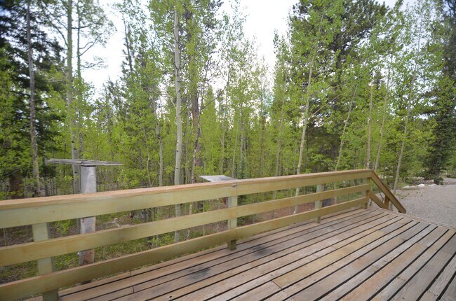 Building Photo - Cabin in the woods! 45 Minutes to Breck!