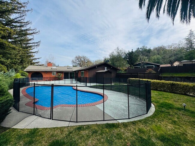 Building Photo - Spacious Single Level Home with Swimming Pool in Alamo Available Now!