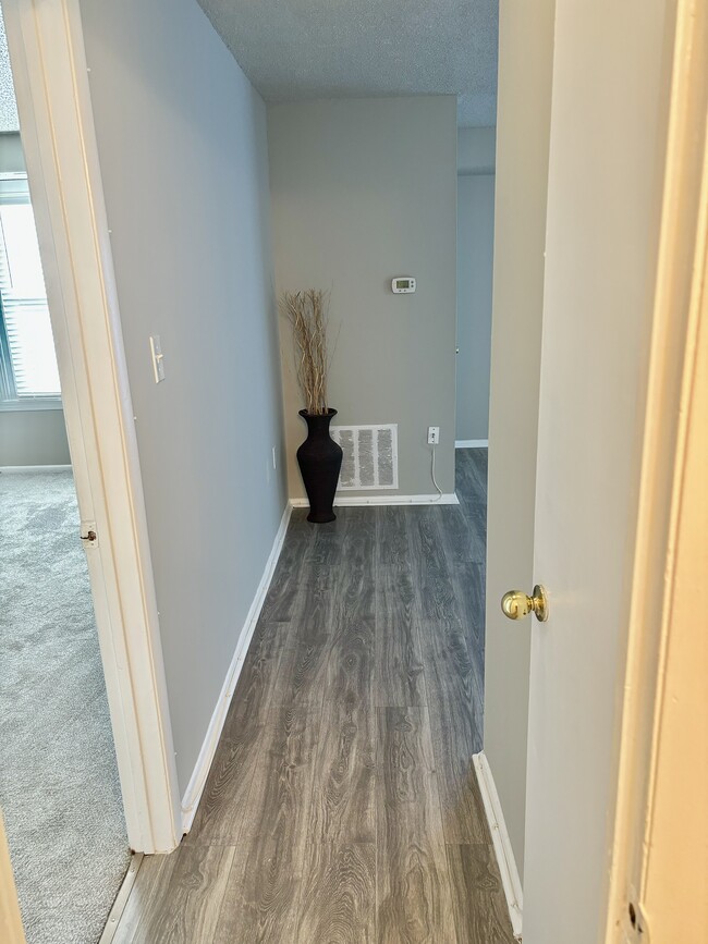 Hallway between bathroom and bedroom leading to living room area - 3801 Swann Rd