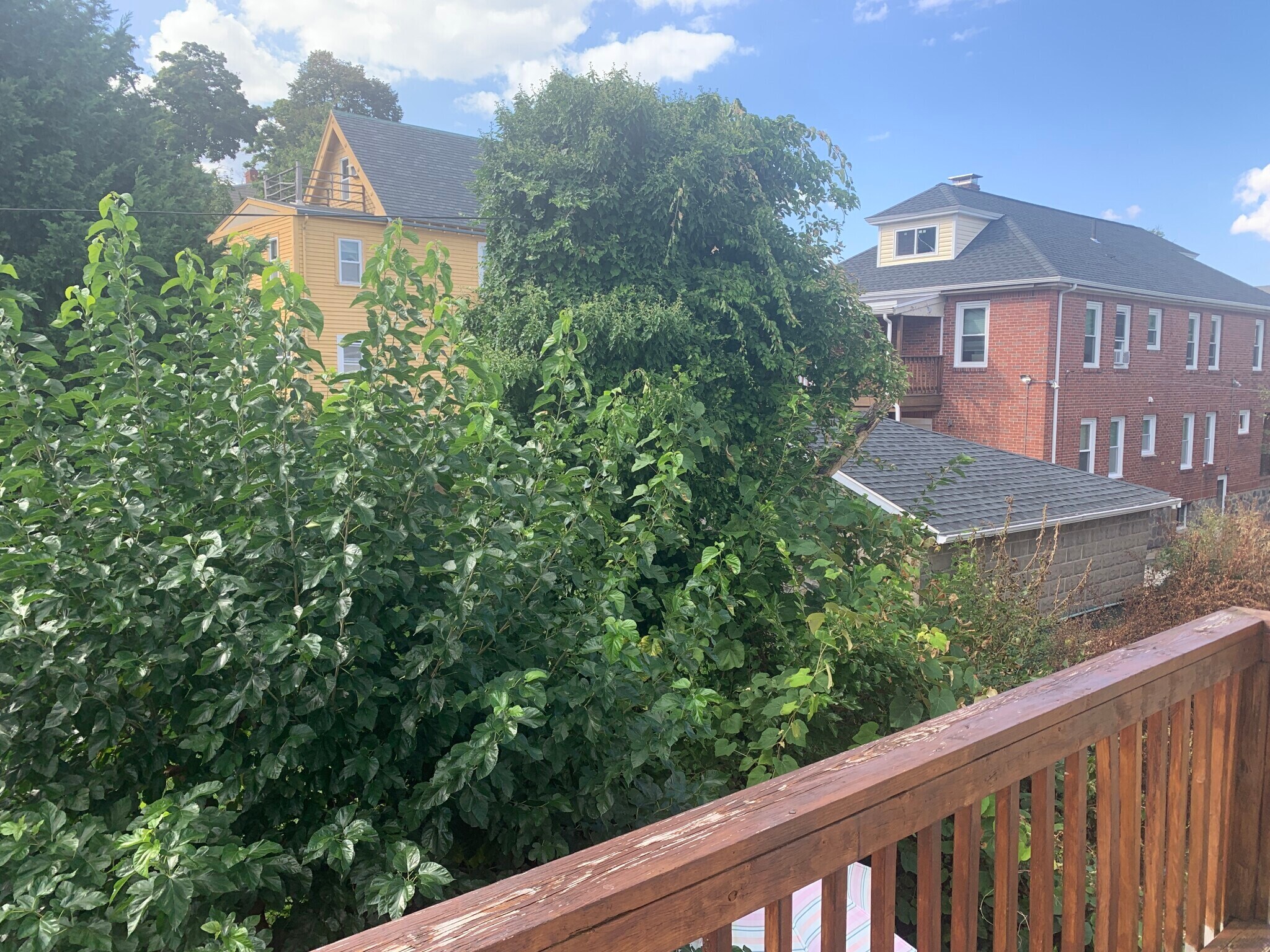 Building Photo - 9 Tip Top St