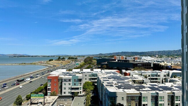Building Photo - Panoramic View of the Mountain, Bay, and Rolling Hills
