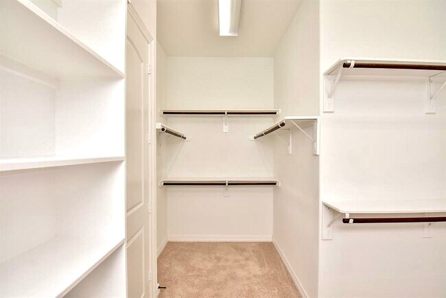 Master BR Closet - 28410 Tanner Crossing Ln