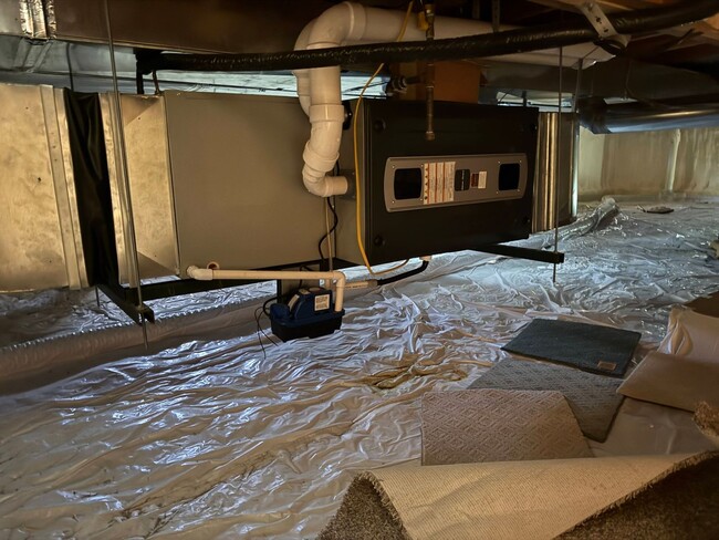 Building Photo - 3 Bed 2 Bath Large Semi-Rural Modern Beautiful Home