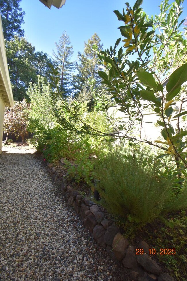 Building Photo - Welcome to Your Lafayette Retreat — Where Comfort Meets California Living