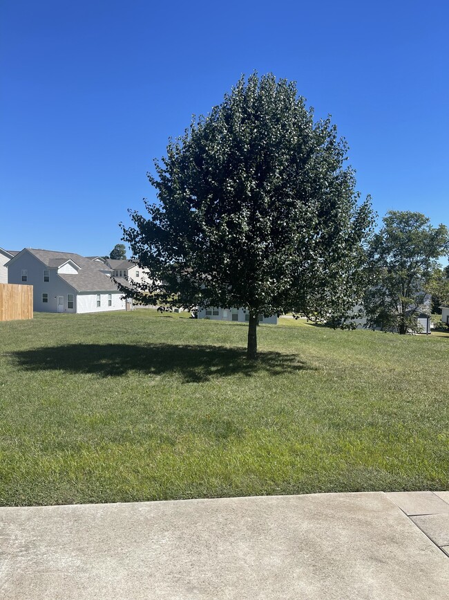 Building Photo - 3037 Commonwealth Dr