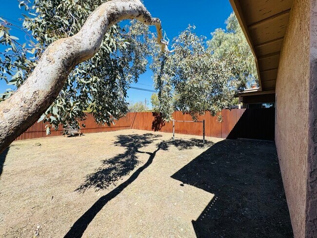 Building Photo - 2643 N Alvernon Way