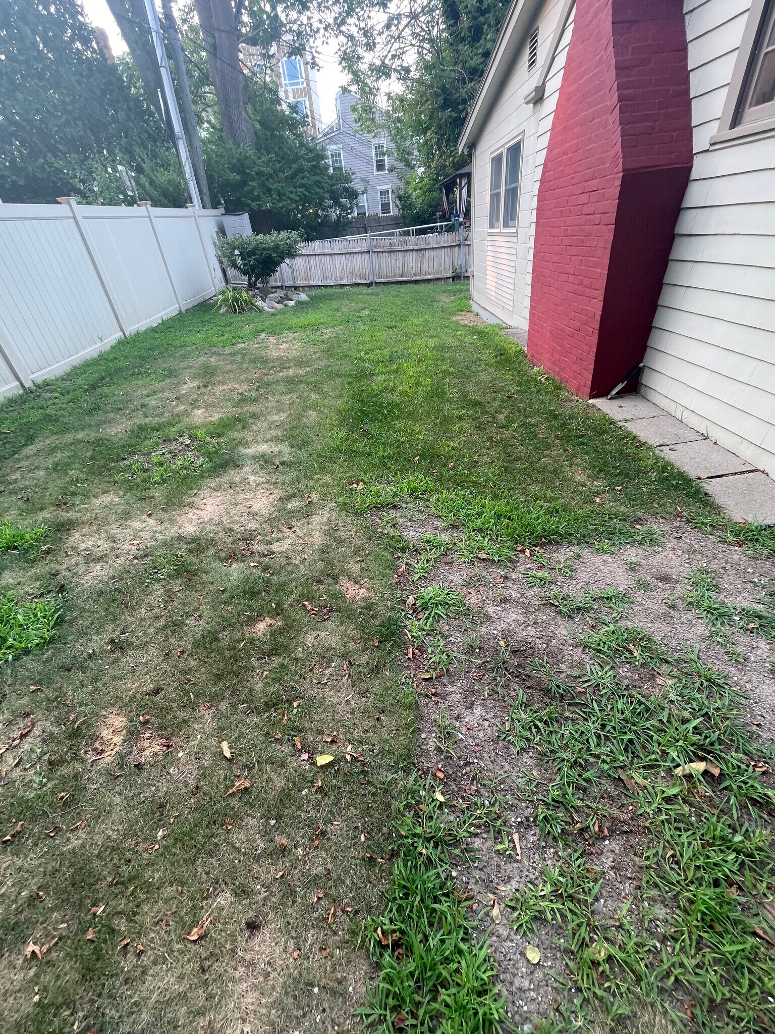 Yard - 25 7th St