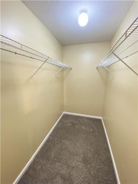 Building Photo - 11 Blue Gill Ln