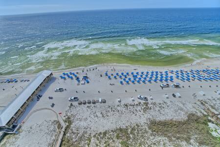 Building Photo - 9900 S Thomas Dr