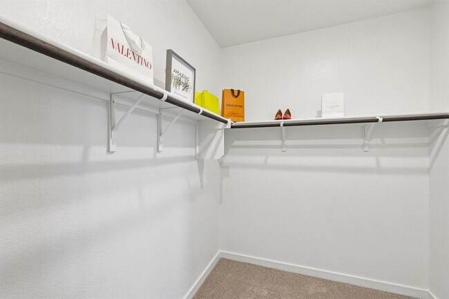 Building Photo - 113 Cutleaf Cv