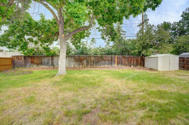 Building Photo - 4 bedroom, 3 bath home in Broomfield