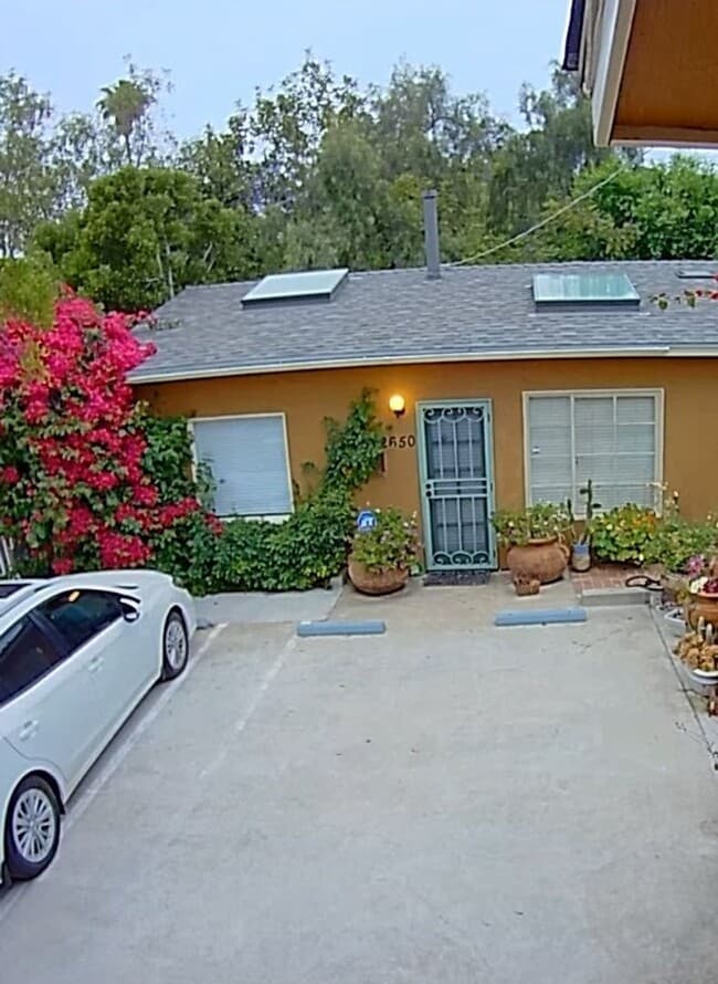 Primary Photo - SDPM- LEASE Juan