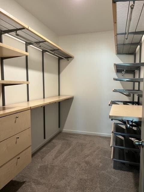 Building Photo - 261 Fenwick Farms Dr