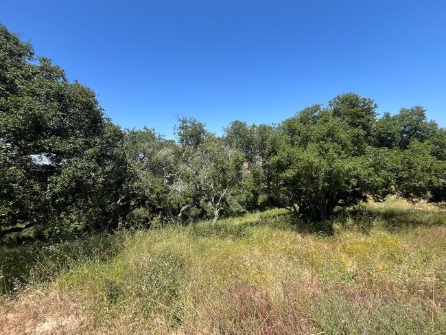Building Photo - Orcutt's Finest -- Vintage Ranch  -- The P...